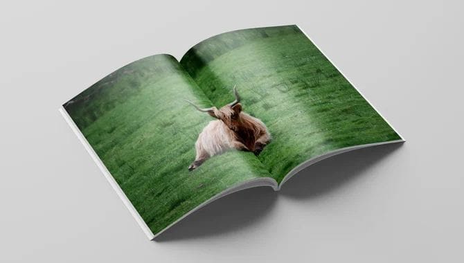 Perfect-Bound Magazine